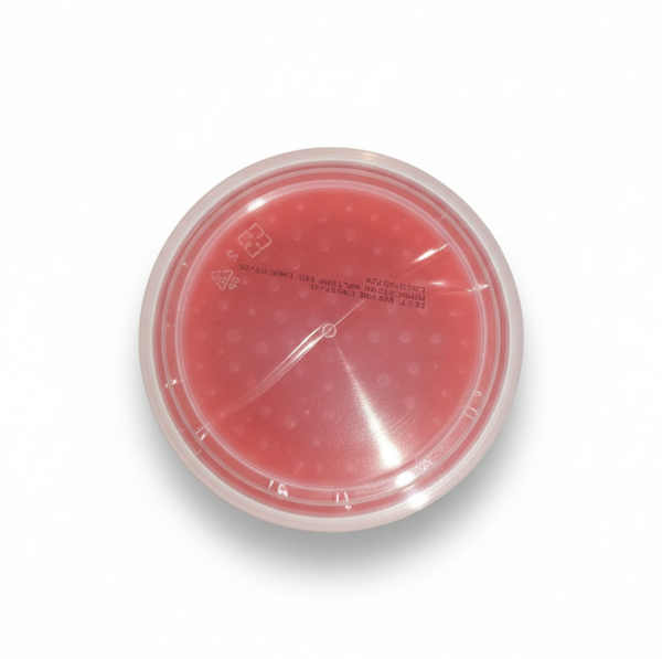 Top view of strawberry popping boba container with sealed lid, Bubble Tea topping